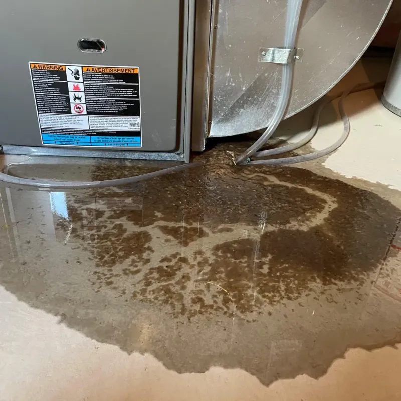 Appliance Leak Cleanup in Woodbourne, PA